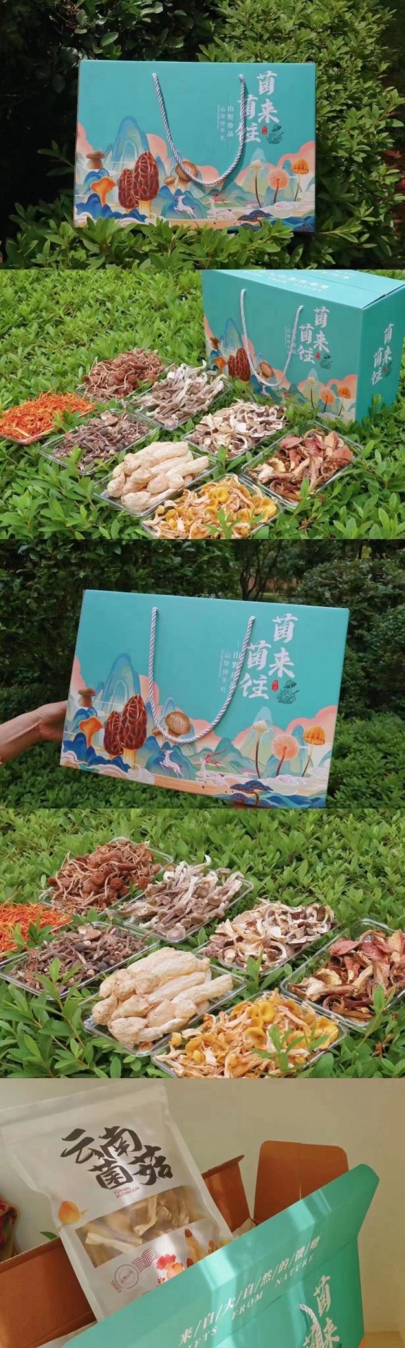 云南特色菌汤包