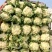 菜花精品有机松花菜白面青梗散花货源足质量好代收代发