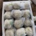 菜花精品有机松花菜白面青梗散花货源足质量好代收代发