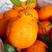 丑橘黄果柑黄皮果大量现货供应抖音快手视频号一件代发