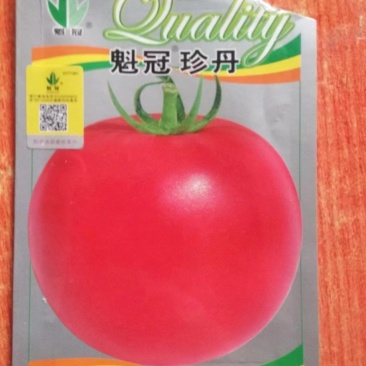 精品西红柿苗，硬粉西红柿苗，免费技术指导，包邮☎️联系