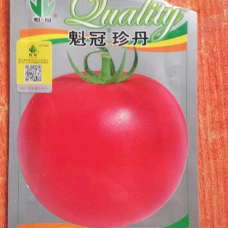 精品西红柿苗，硬粉西红柿苗，免费技术指导，包邮☎️联系