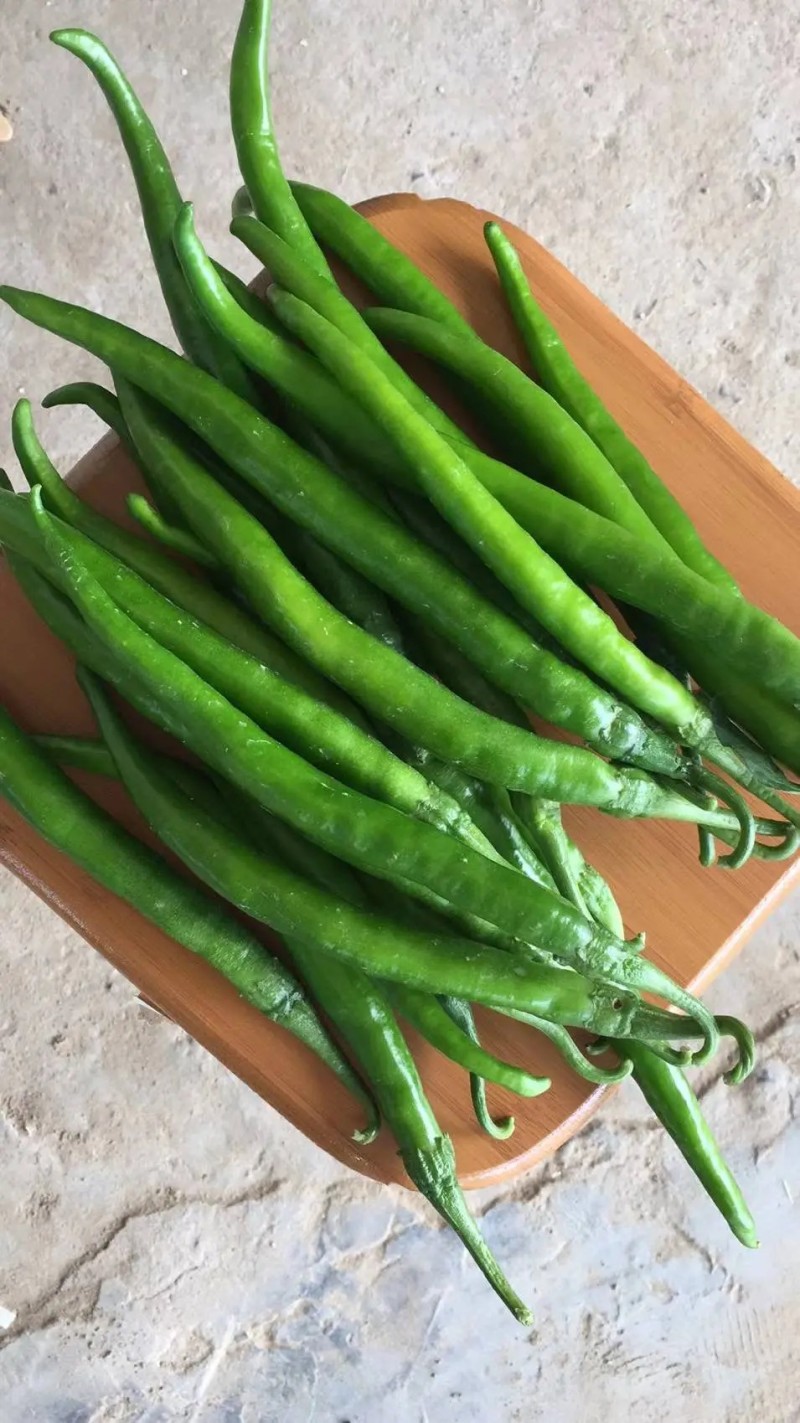 鲜辣椒黄皮尖椒菜椒线椒品种全货源足商超配菜服务