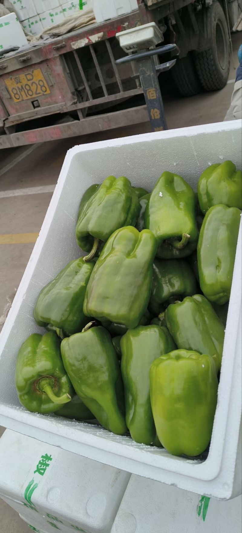 鲜辣椒黄皮尖椒菜椒线椒品种全货源足商超配菜服务