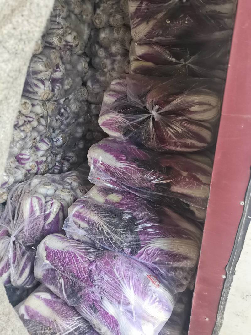 紫白菜，富含花青素，口感脆甜，凉拌，小炒均可，有促进皮肤