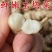 2024新鲜螺丝菜脆嫩宝塔菜地牯牛蔬菜地蚕甘露子地坏菜现