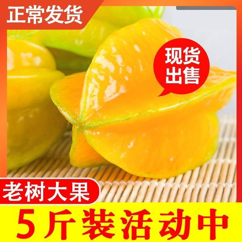 杨桃应季新鲜水果3斤5斤福建下河现摘甜阳桃整箱包邮