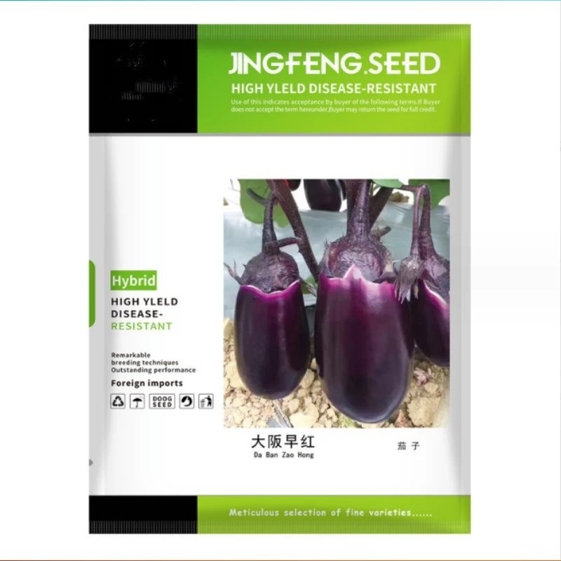 杂交牛心茄种子大阪早红茄子1000粒早熟紫红卵圆形肉白色