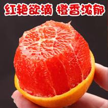 血橙，挂树鲜果，皮薄肉细腻，水分足果园订货！