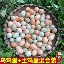 (5O枚)整箱鸡农家散养土鸡蛋正宗乌鸡绿壳蛋混合土鸡蛋