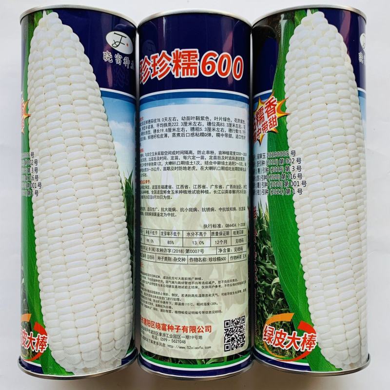1250克装晓富珍珍糯600白糯玉米种子粘糯Q弹糯中带甜
