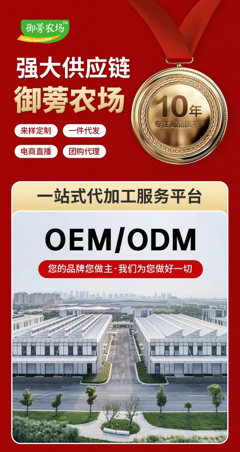【正宗黄金牛蒡茶】源头工厂山东临沂兰陵原产地批发圆片斜片