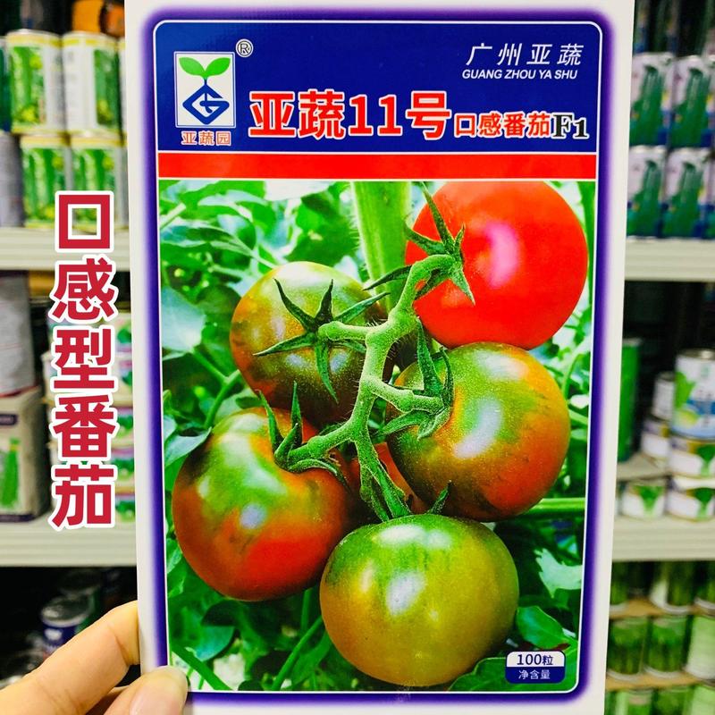 亚蔬11号番茄种子口感型番茄酸甜草莓番茄种籽西红柿种子
