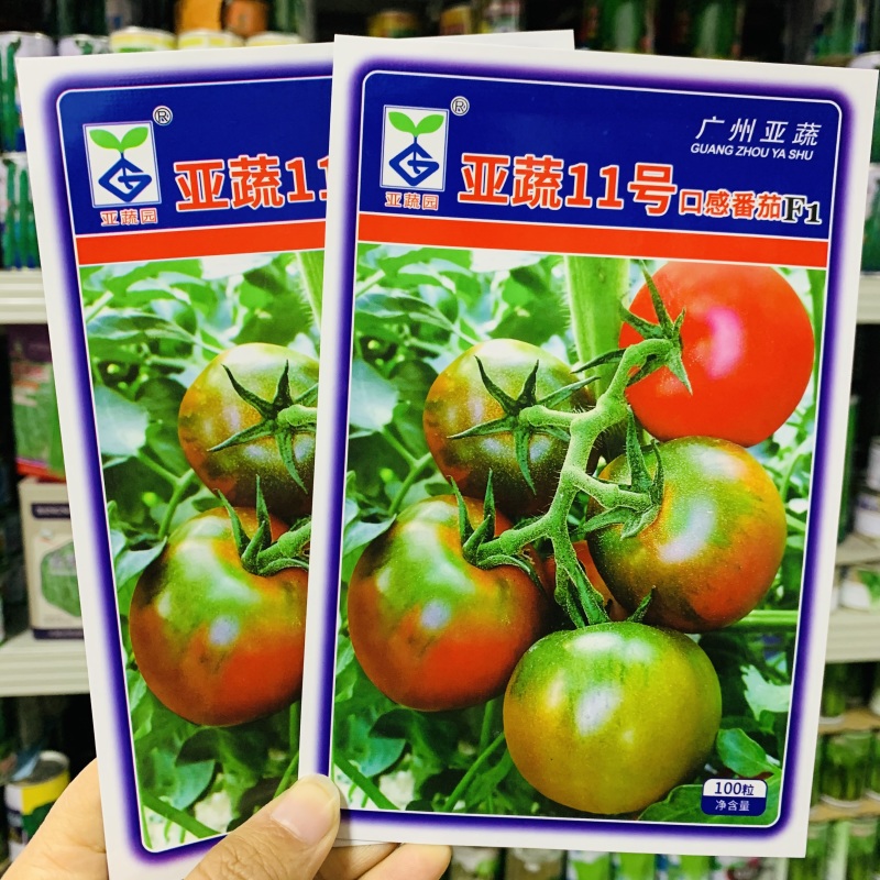 亚蔬11号番茄种子口感型番茄酸甜草莓番茄种籽西红柿种子
