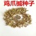 新采新种籽鸡爪槭种子鸡爪枫种子小叶鸡爪槭种子林木