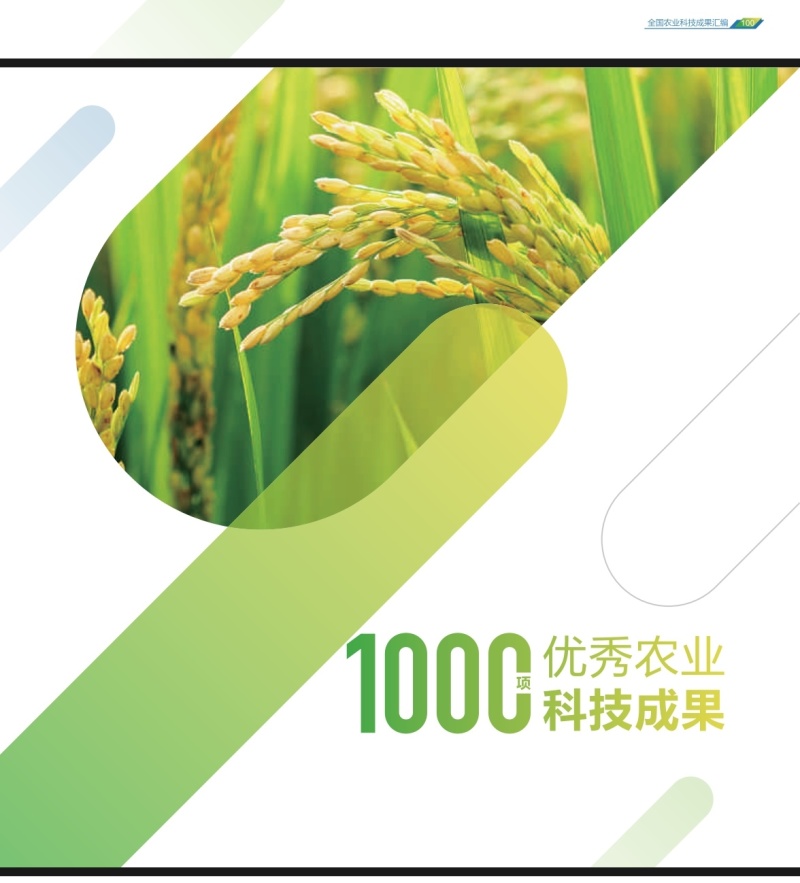 麻辣烫指定用品种