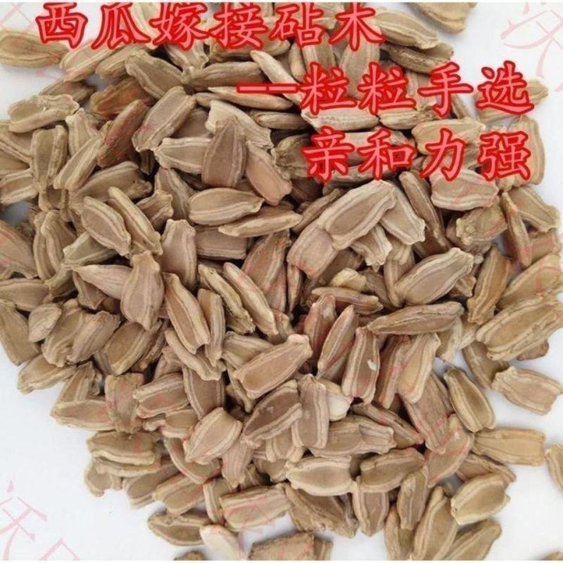 嫁接西瓜甜瓜专用葫芦籽砧木根系好抗病耐寒亲和性强葫芦种子