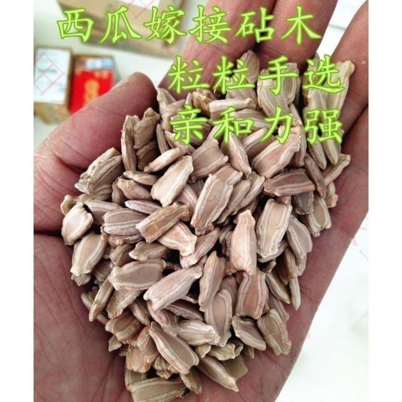 嫁接西瓜甜瓜专用葫芦籽砧木根系好抗病耐寒亲和性强葫芦种子