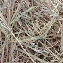 精品稻草，二次柔丝除尘小包，养殖专用