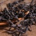 新茶春茶特价武夷山碳焙浓香大红袍岩茶乌龙茶袋装送礼茶叶包