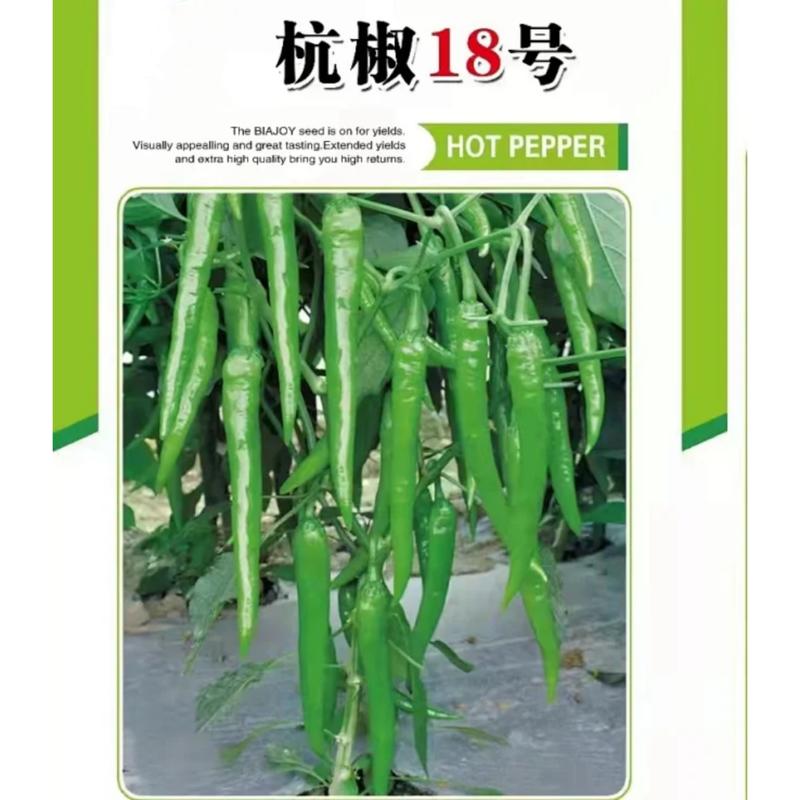 杭椒18辣椒种子果长13-15厘米早熟适合春秋栽培