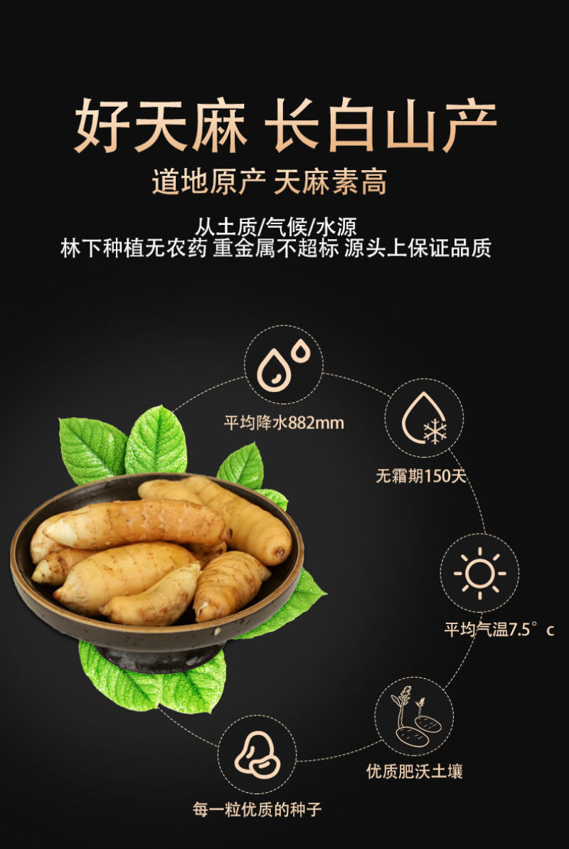 【长白山发货】三年生林下小天麻冬天麻无硫不提取小天麻包邮