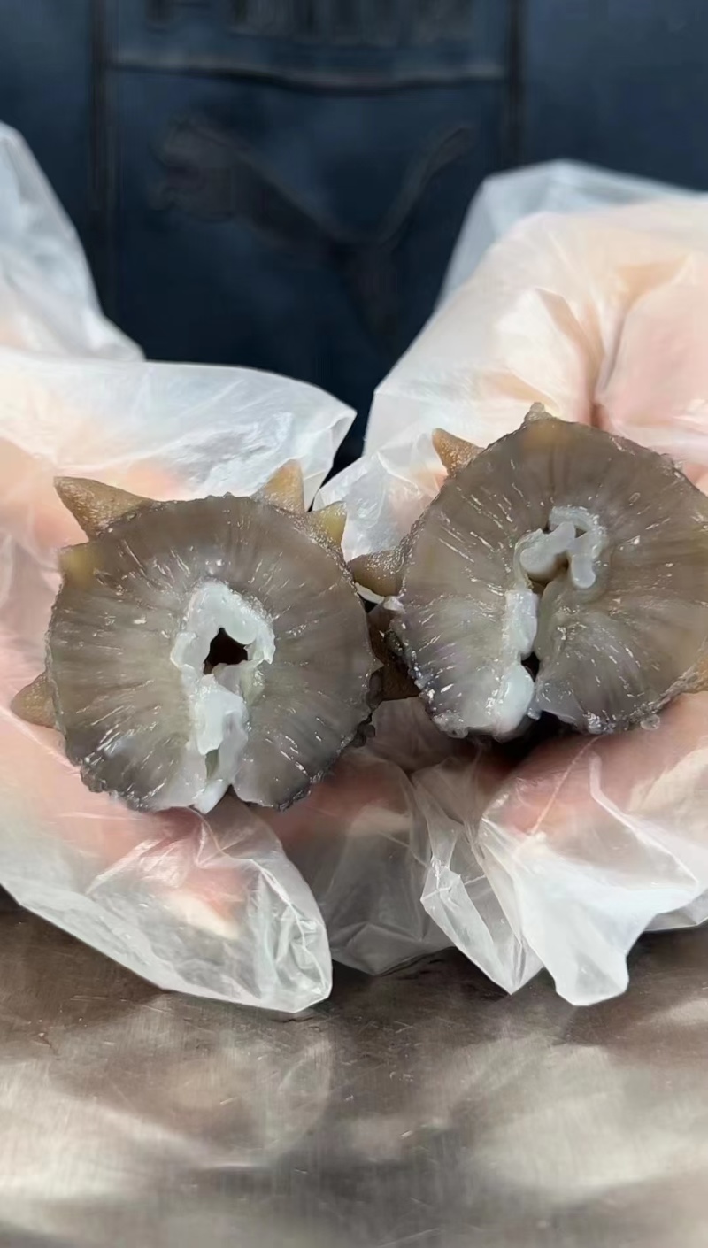 即食海参