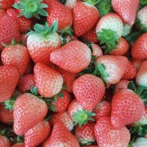 妙香、宁玉草莓大量上市，天气晴好，质量提升，价格平稳。
