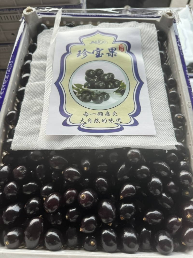 纯甜无籽树葡萄，嘉宝果产地现货直发，保质保量，欢迎订购