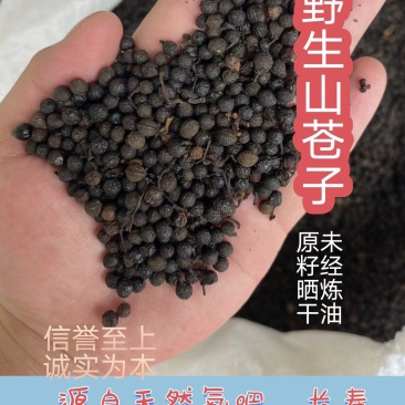 山苍子木姜子山胡椒大量供应，货源充足量大从优