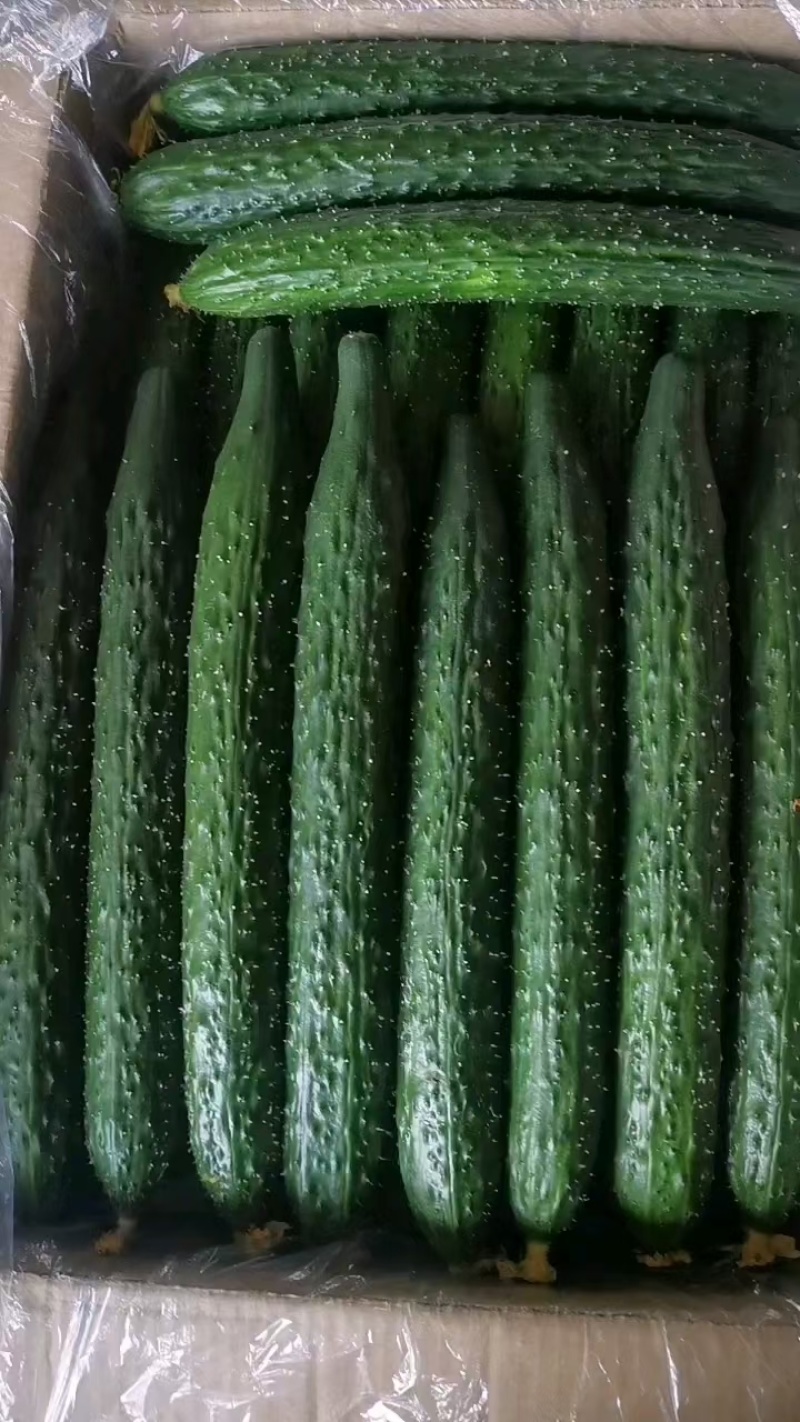 密刺黄瓜干花鲜花带刺承接商超社团配货代收代发代加工