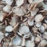 白芍片，手工切片，机切片，没有大货，货少先询后下单