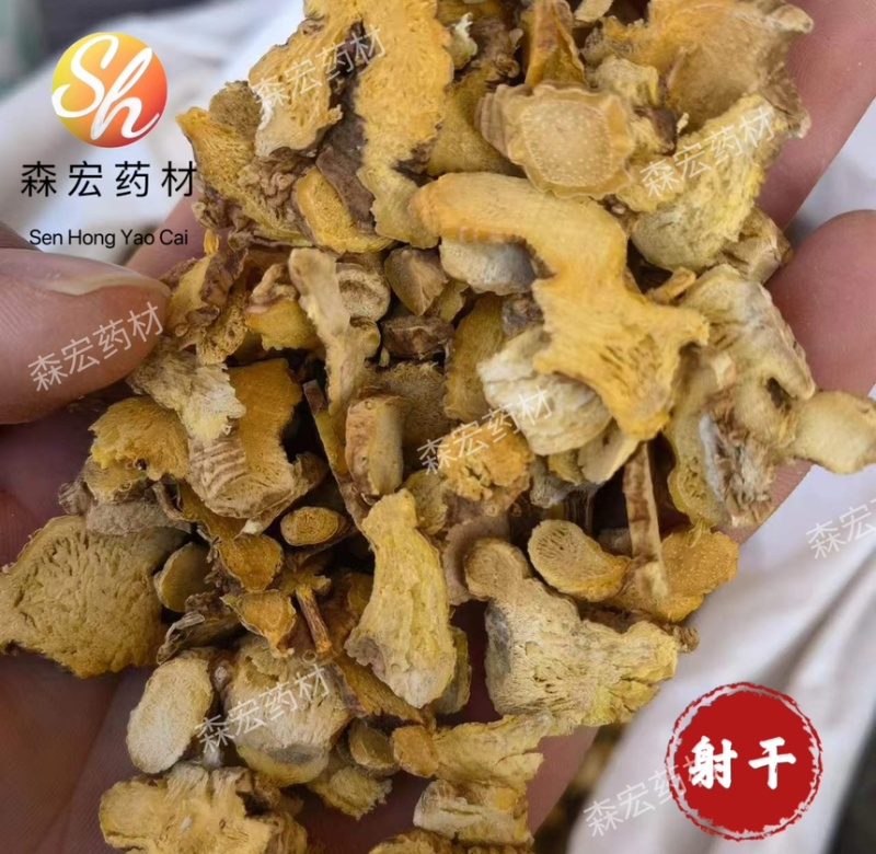森宏药材河北射干新货规格齐全质量保证欢迎订购