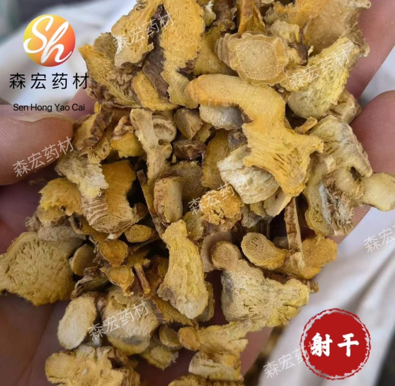 森宏药材河北射干新货规格齐全质量保证欢迎订购