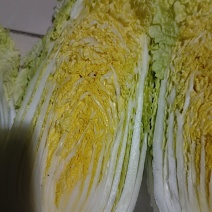 娃娃菜