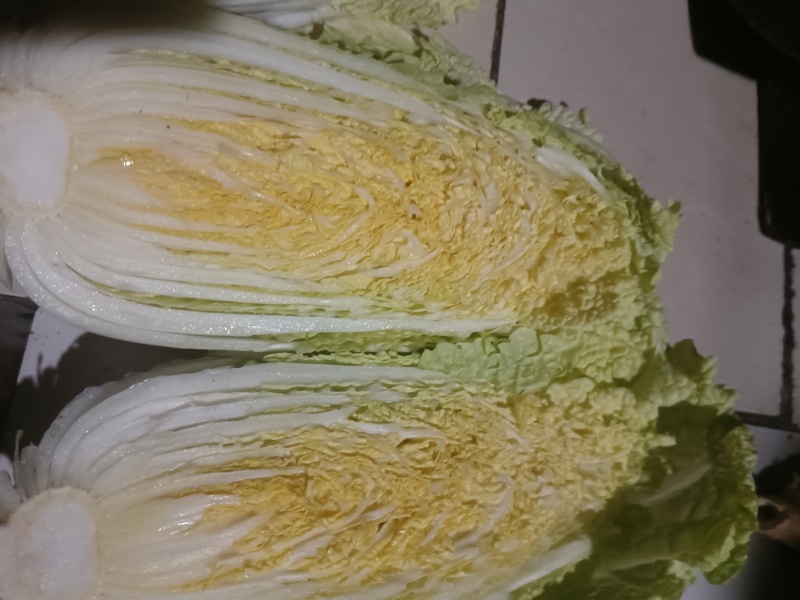 娃娃菜