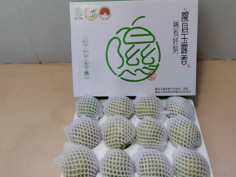 【一件代发】精品玉露香梨礼盒装规格齐全货源充足欢迎来电下单