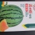 满口糖16号彩虹瓜礼品西瓜种子，早熟球型，酥脆细嫩清香