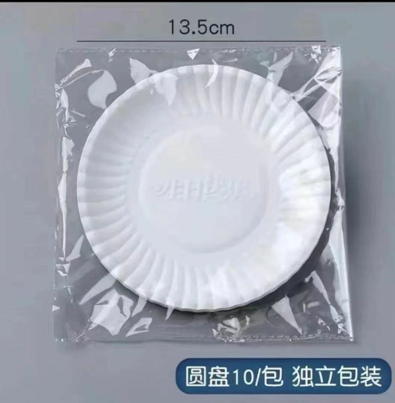 生日蛋糕纸盘一次性纸碟水果盘烧烤盘环保餐盘幼儿园手工绘画