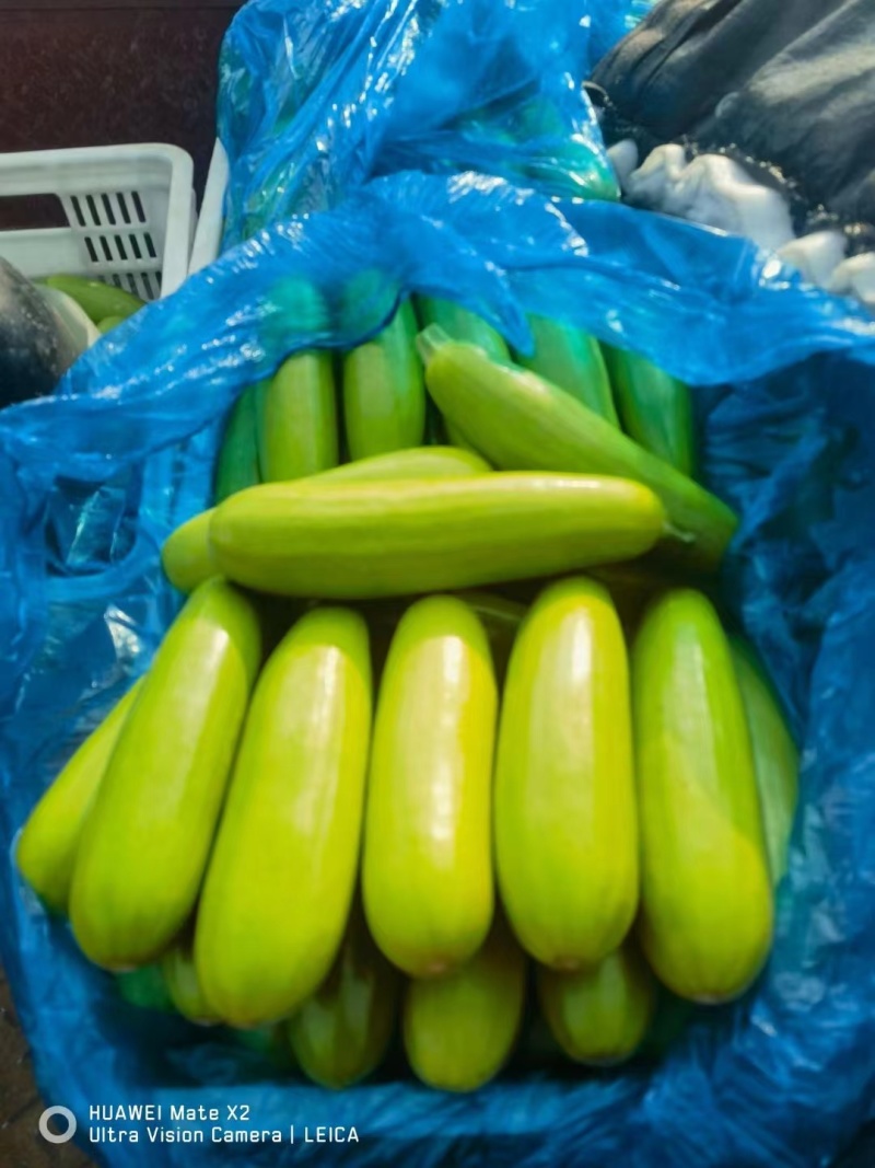 【推荐】优质西葫芦代发全国大量供应品质保证一手货源