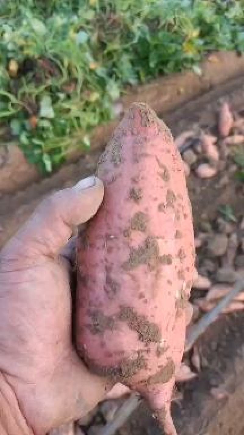 货源充足，欢迎采购