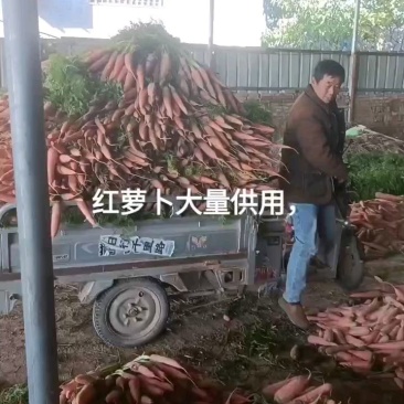 水洗，土货大量有货欢迎定购