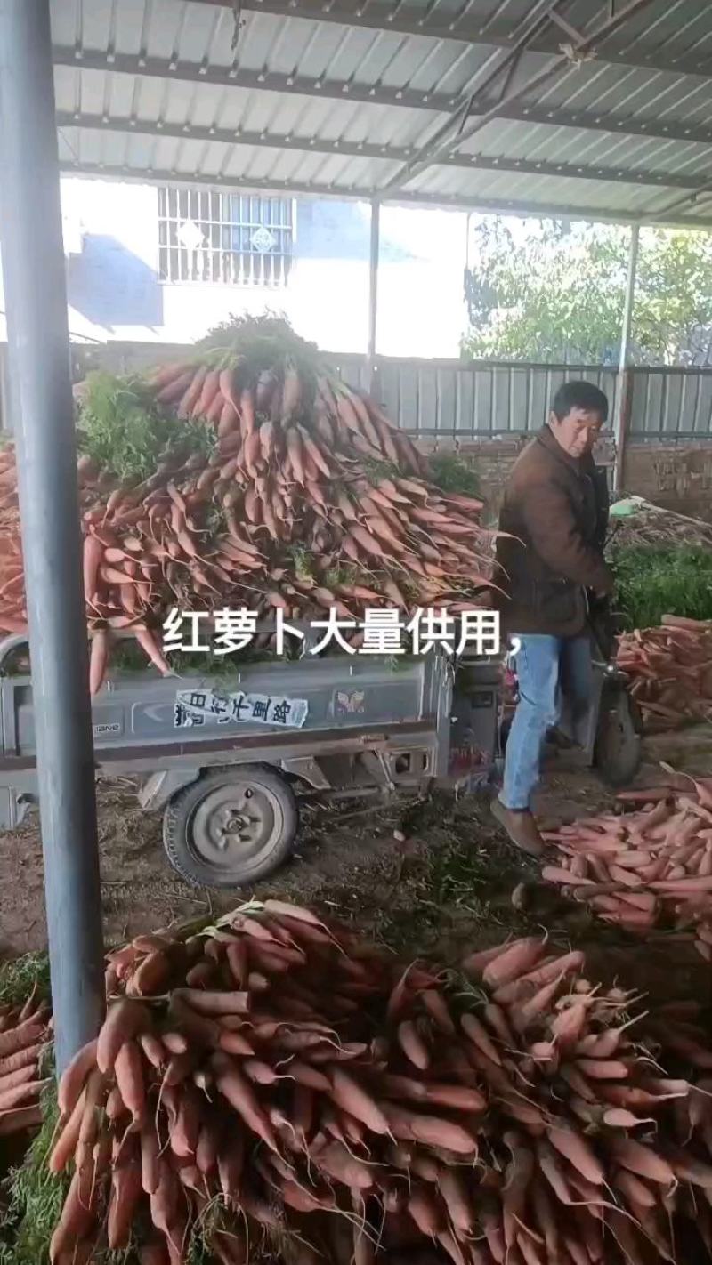 水洗，土货大量有货欢迎定购