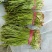 精品韭菜大量上市中