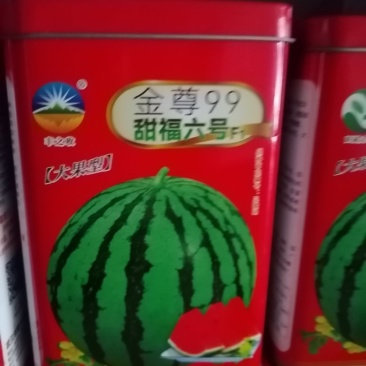 抗病性强耐裂性强高产易坐果绿果型含糖高。
