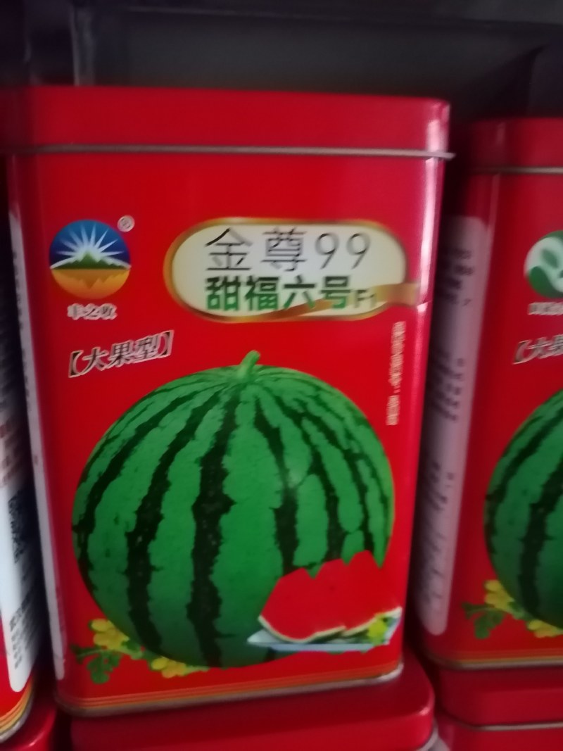 抗病性强耐裂性强高产易坐果绿果型含糖高。