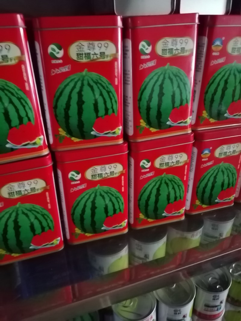 抗病性强耐裂性强高产易坐果绿果型含糖高。
