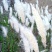 白茅草种子四季播易活坟头山坡杂草绿化针茅白毛草野生白茅根