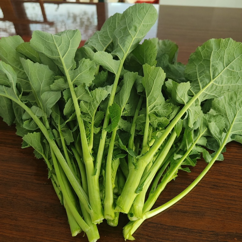 湖南油菜苔