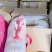 茶猪乳猪厂家货源价格优惠品质保证欢迎全国老板合作
